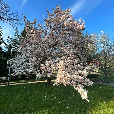 Apartmama * Lipová-lázně